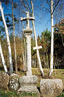 Cruceiro_lama cruceiro_lama