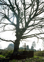 Cruz_mision cruz_mision