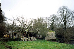 Muino_felpas muino_felpas