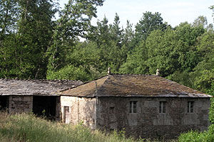 Muino_ponte muino_ponte