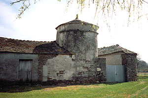 Pombal_casadorei pombal_casadorei