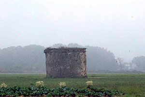 Pombal_taboi pombal_taboi