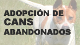 Adopción de Cans
