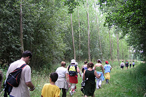 Ruta_asinsuasdomino ruta_asinsuasdomino