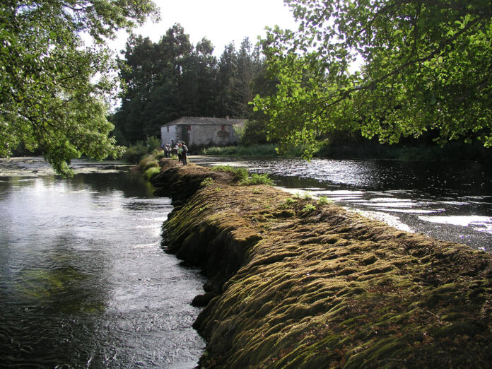 RUTA DE SENDEIRISMO CAMIÑO DO MIÑO
