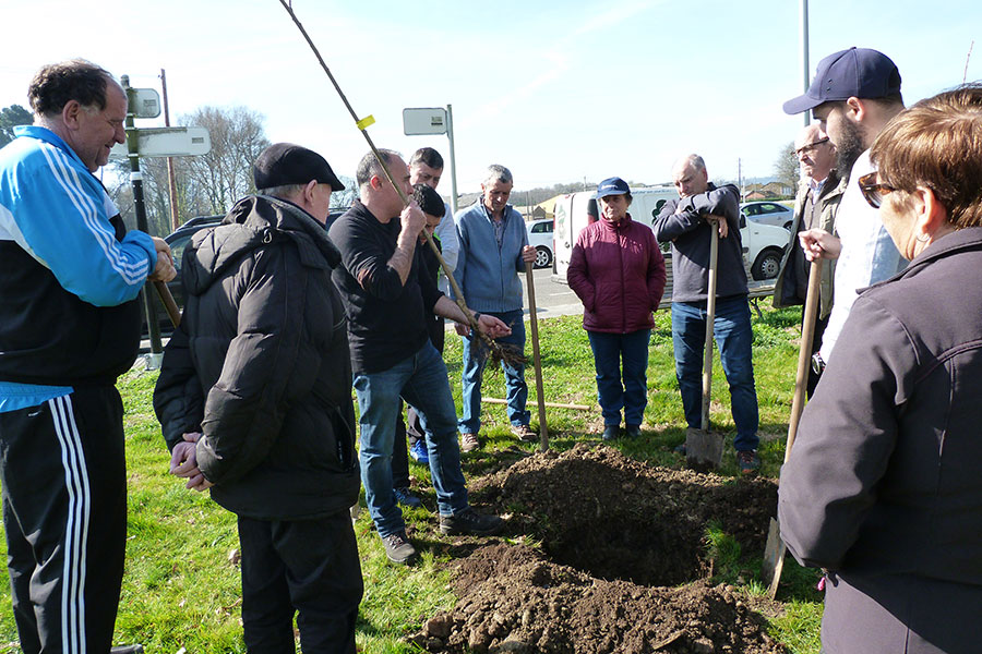 CURSO DE PODA, ENXERTO E PLANTACIÓN DE FROITEIRAS EN OUTEIRO DE REI CURSO DE PODA, ENXERTO E PLANTACIÓN DE FROITEIRAS EN OUTEIRO DE REI