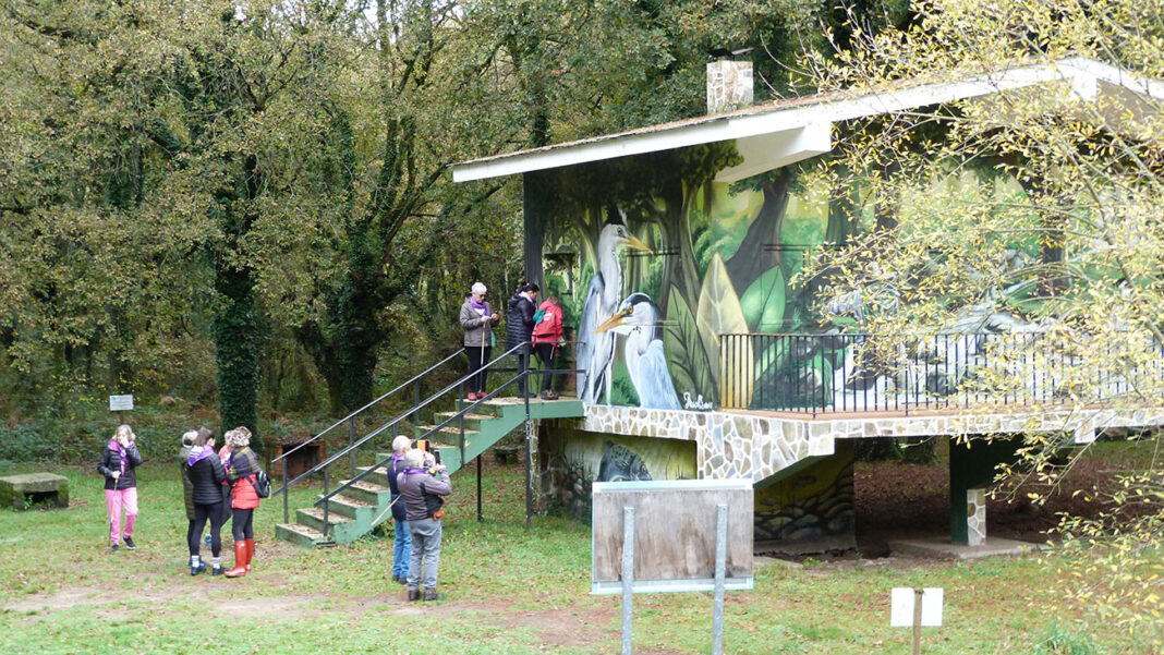 Andaina popular contra a violencia de x&eacute;nero do Concello de Outeiro de Rei