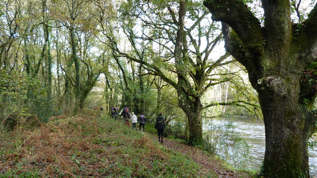 Andaina popular contra a violencia de x&eacute;nero do Concello de Outeiro de Rei