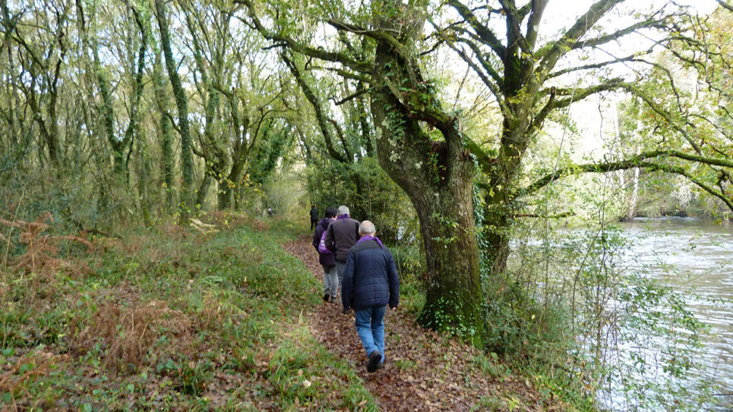 Andaina popular contra a violencia de x&eacute;nero do Concello de Outeiro de Rei