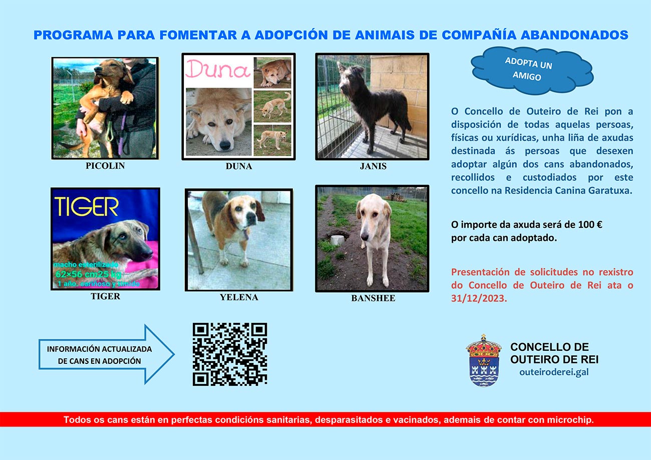 Programa para fomentar a adopción de cans abandonados en Outeiro de Rei Programa para fomentar a adopción de cans abandonados