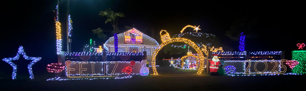 MANUEL COBAS GÓMEZ MANUEL COBAS GÓMEZ