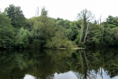 RUTA AS INSUAS DO MIÑO