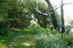 RUTA AS INSUAS DO MIÑO