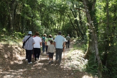 RUTA CAMIÑO DO MIÑO