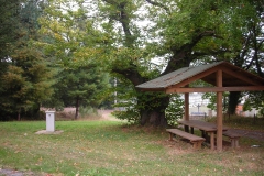 RUTA CAMIÑO DO MIÑO