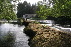 RUTA CAMIÑO DO MIÑO