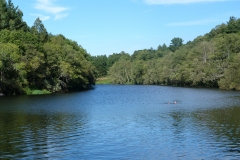 RUTA CAMIÑO DO MIÑO