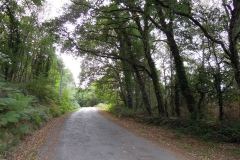 RUTA CAMIÑO DO MIÑO