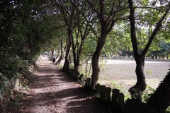 RUTA CAMIÑO DO MIÑO