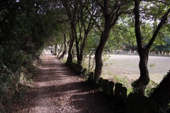 RUTA CAMIÑO DO MIÑO