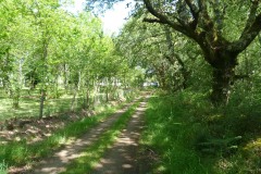 RUTA MIRADOIRO TERRA  CHA