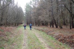 RUTA MIRADOIRO TERRA  CHA