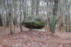 RUTA MIRADOIRO TERRA  CHA