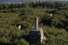 RUTA MIRADOIRO TERRA  CHA