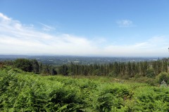 RUTA MIRADOIRO TERRA  CHA