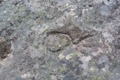 RUTA ARQUEOLÓXICA DE O ACEVEDO