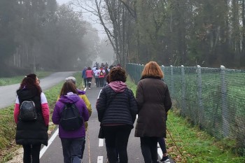 Andaina popular 25N 2023