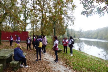 Andaina popular 25N 2023