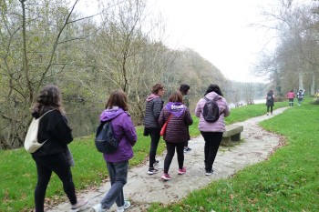 Andaina popular 25N 2023