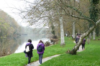 Andaina popular 25N 2023