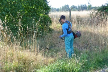IX Deseñando o teu futuro: estadías en empresas