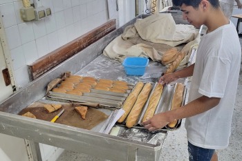 IX Deseñando o teu futuro: estadías en empresas